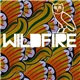 SBTRKT - Wildfire